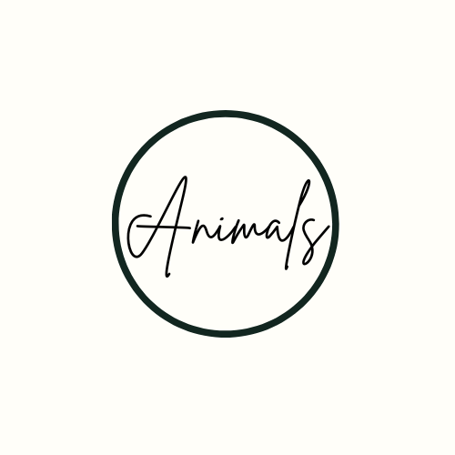 Animal Decals