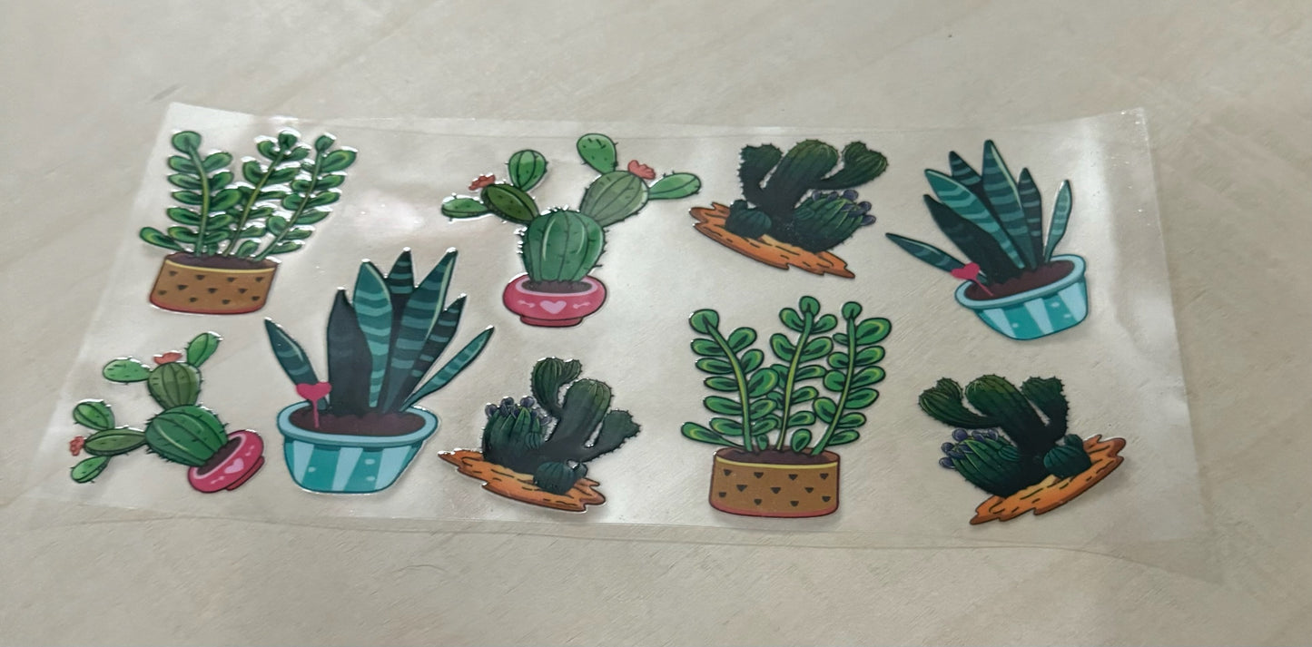 Cacti