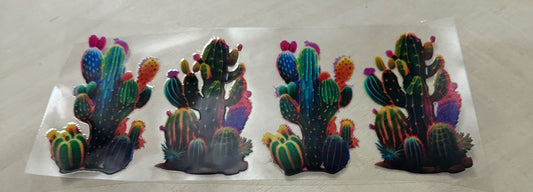 Colorful  Cacti