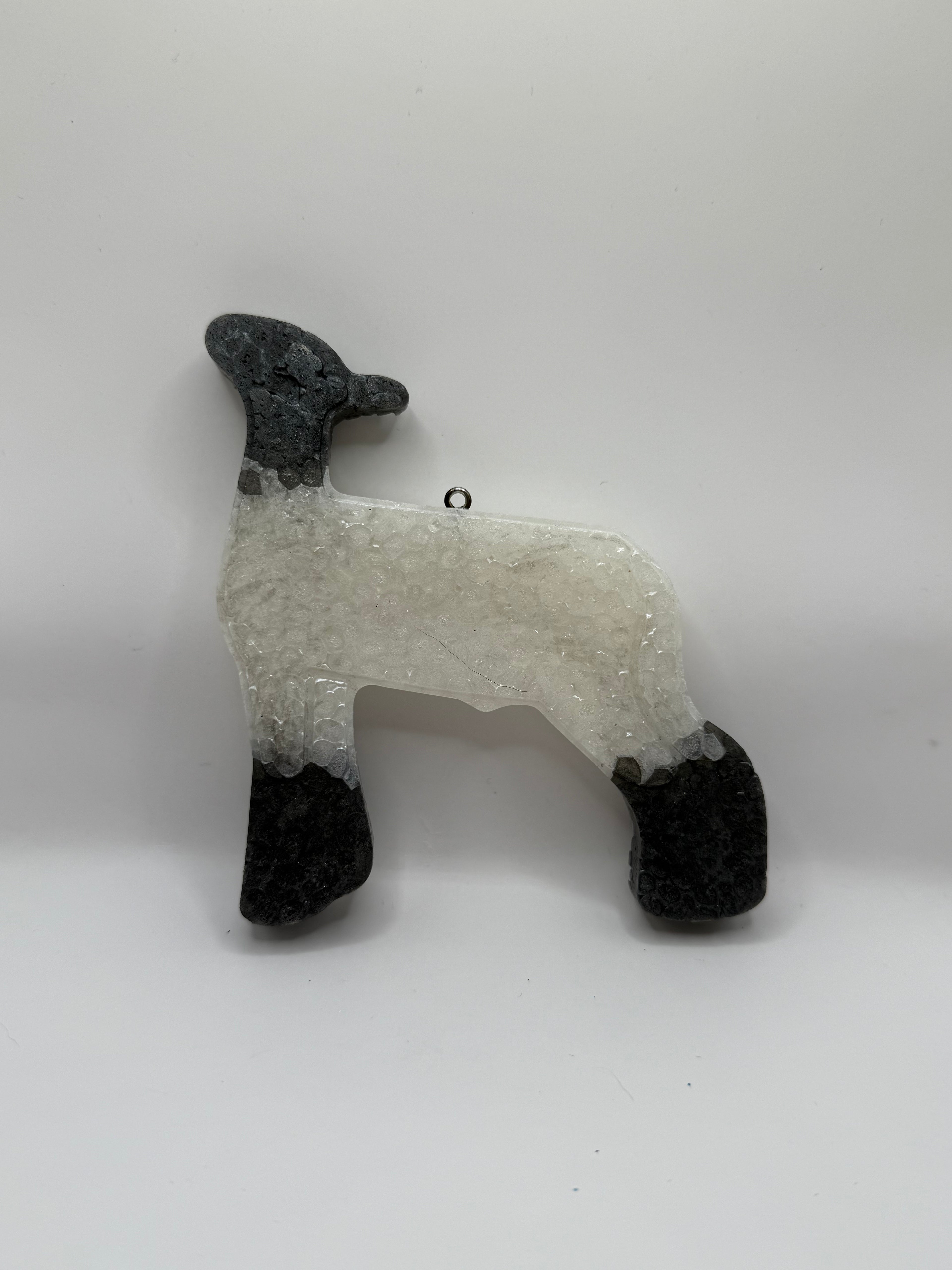 Stock Show Lamb