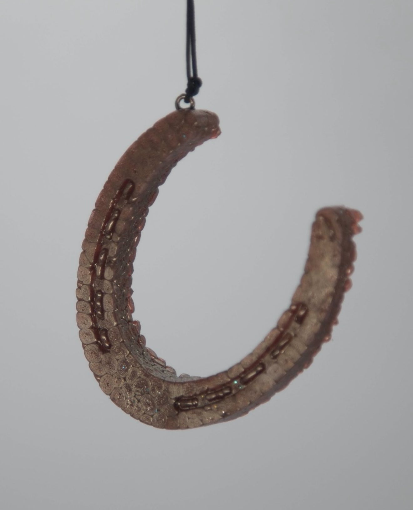 Horseshoe